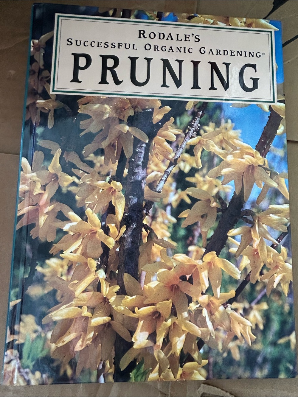 Pruning Book